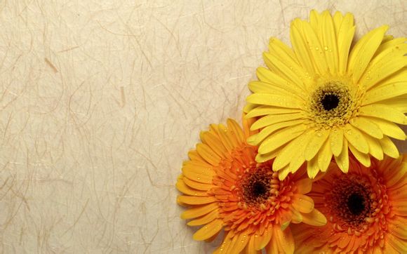 法兰克福罗马广场介绍