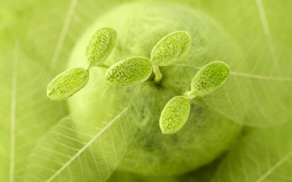 郑州旅游一日游