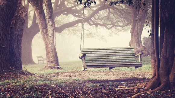 中华恐龙园免费项目