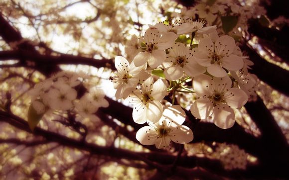 沂蒙红嫂纪念馆收费吗