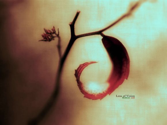 猛洞河漂流开放了吗