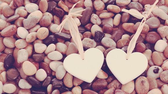 中山水上乐园门票多少