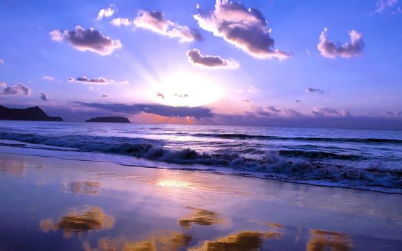 河蚌是什么动物的代表