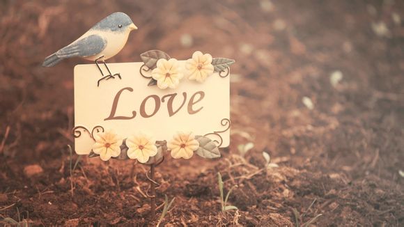 河南省永城市医保局电话号码