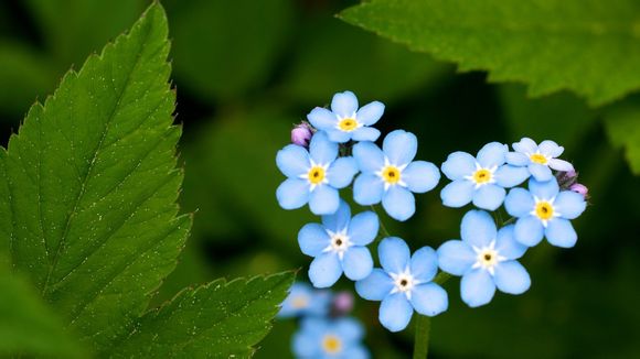 泰国自由行费用多少