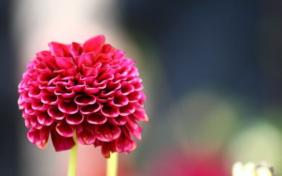 沈阳到上海机票省钱技巧