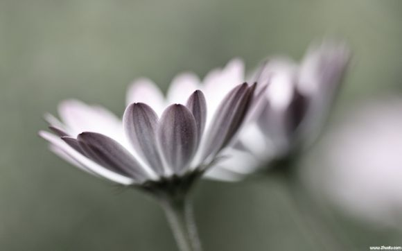 泰国电子签证办理流程(详细版)