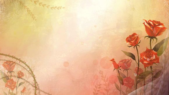 法国购物买什么划算