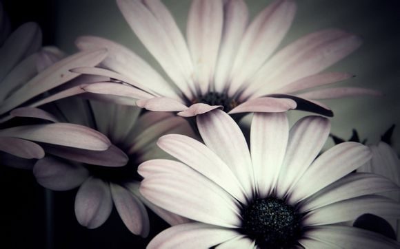 巴厘岛什么最出名