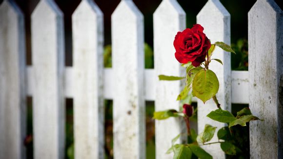 沈阳到西安的机票价格航班