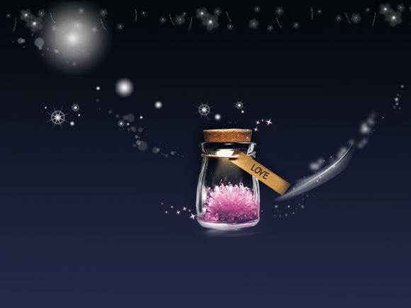 沈阳森林动物园怎么坐车