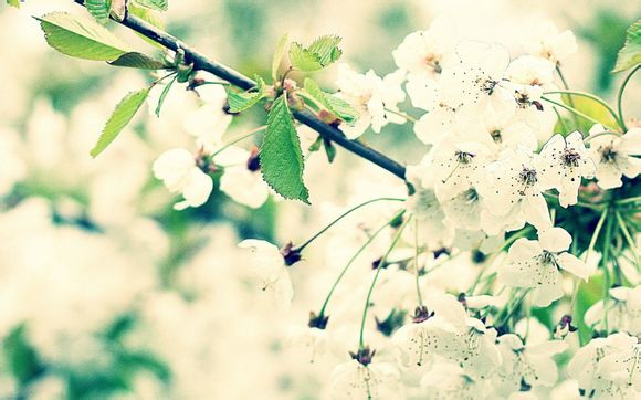 四川三天旅游的最佳去处