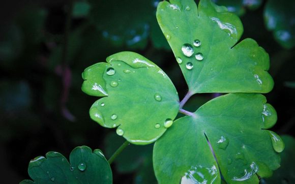 山西五台山在什么县