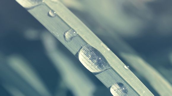 仙桃特色美食一条街在哪里