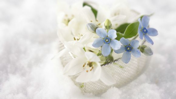 河南红色教育基地指挥长属于什么部门