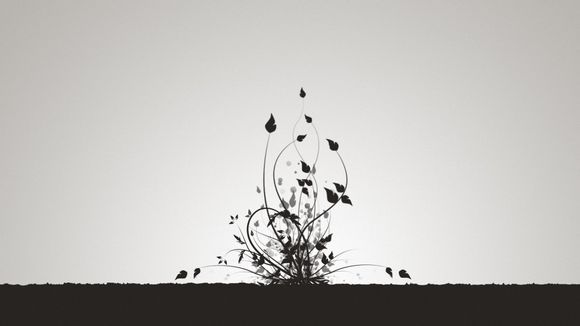 泰王国驻华大使馆电话