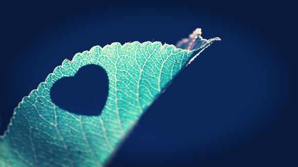 河南省周口市的邮编多少