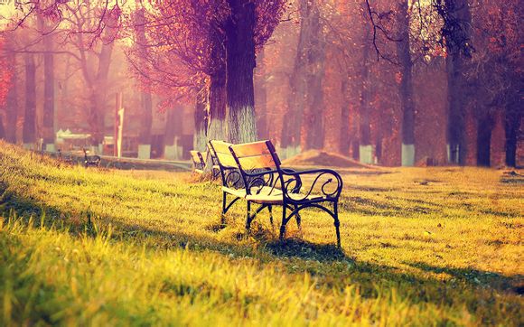 罗平九龙瀑布近期开放吗