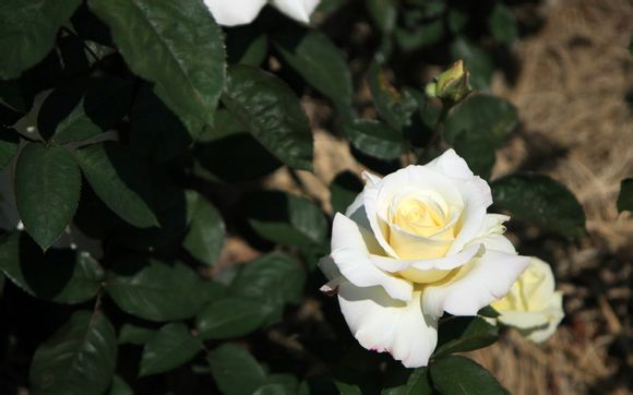 河北省旅游景点大全排行榜