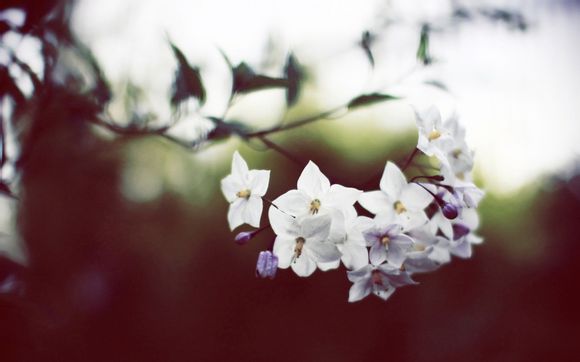 河南尧山漂流安全不