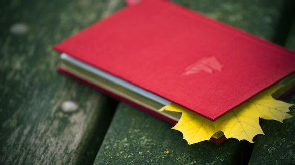 泰国巴厘岛在哪个国家城市