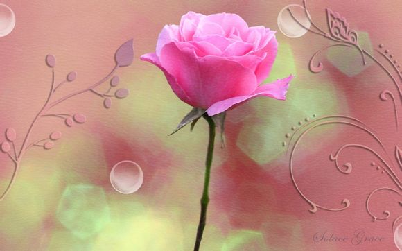 洛阳老君山二日游最佳攻略