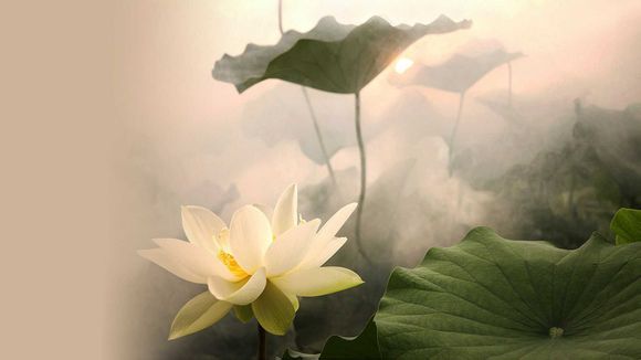 山东泰山站和泰安站有什么区别