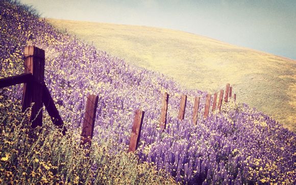 沈阳北站到沈阳站地铁几号线