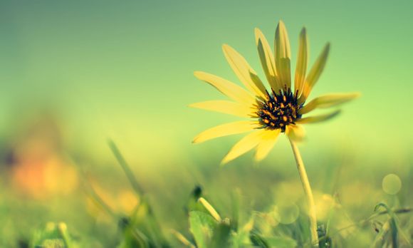 河北旅游景点排行阳泉