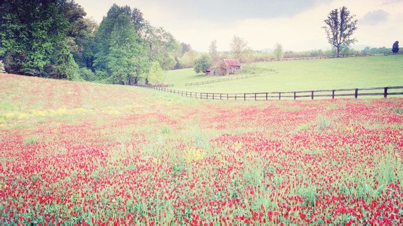 河北省唐山市遵化市