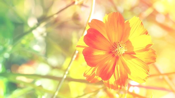 泰国入境卡写错了可以涂改吗