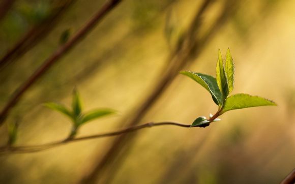 河南省新乡市牧野区
