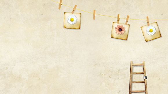 沙湖旅游攻略景点必去两天游