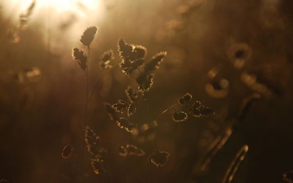 沈阳山姆会员店坐地铁几号线