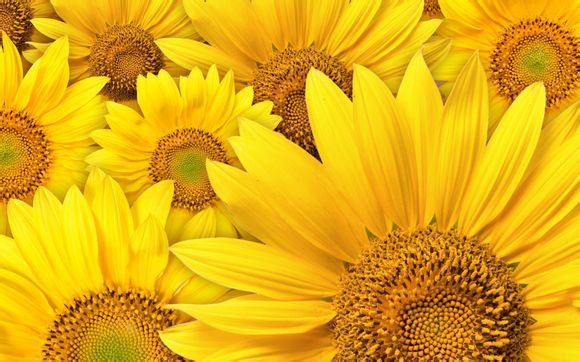 福建周边游三日游