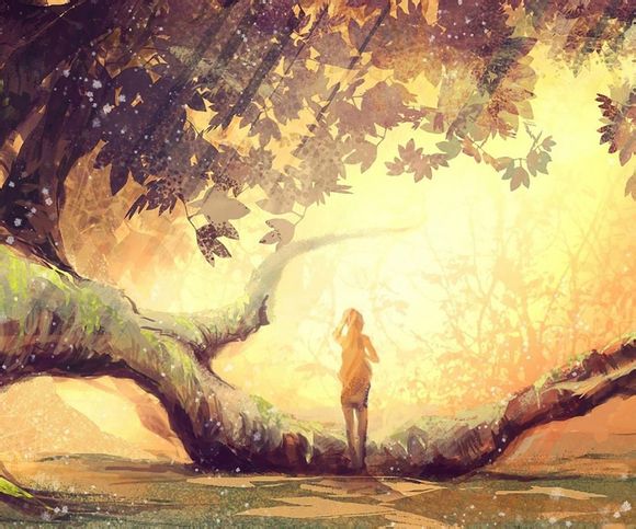 泰安公交车路线时间表