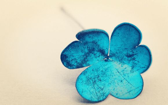 华东五市旅行路线