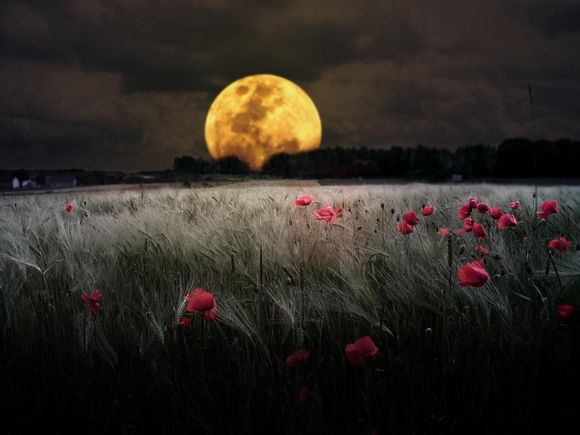 泉州有什么好玩的景点排行榜