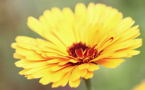 泸州周边游景点推荐