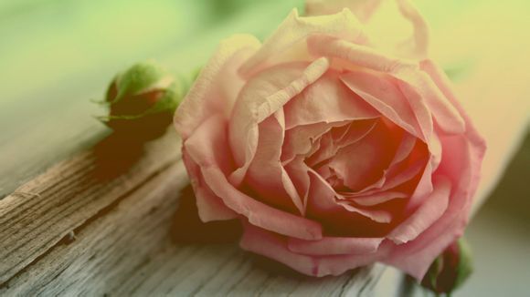 法国化妆品品牌前十名名称