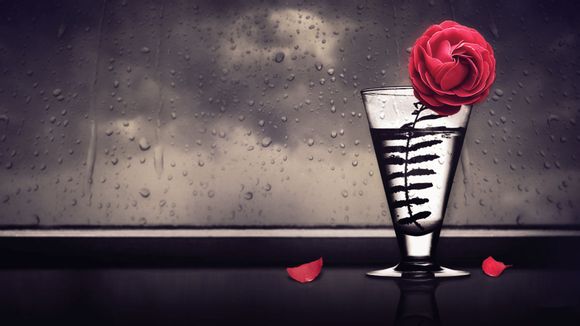 泰山币预约几分钟抢完了