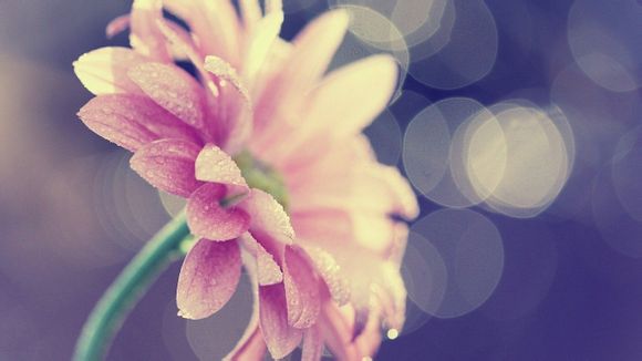 沈阳到济南飞机票时刻