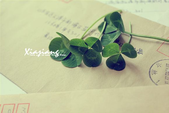 山东日照特产有哪些零食